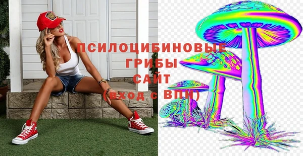 прущие крисы Заводоуковск