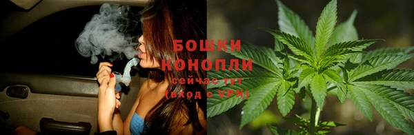 прущие крисы Заводоуковск