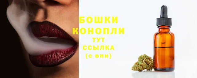 прущие крисы Заводоуковск
