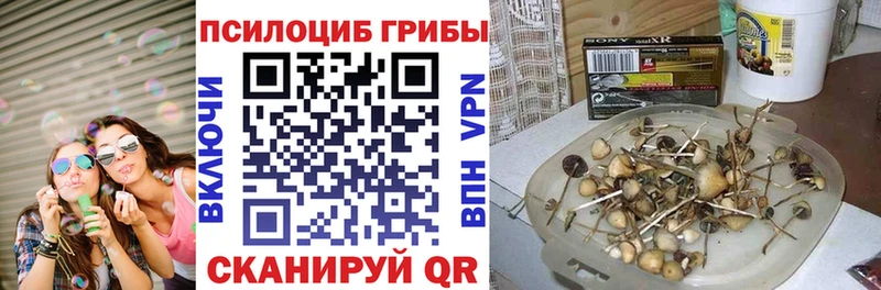 Галлюциногенные грибы мухоморы  Мегион 