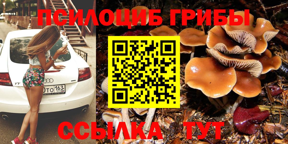 Галлюциногенные грибы Psilocybine cubensis  Вход с VPN  Мегион 